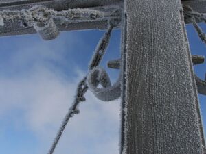 Guschen 46895 2006-02-27.jpg