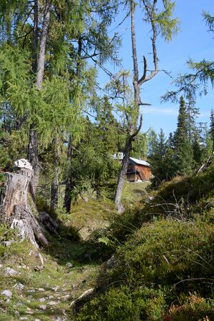 Handleralm Straßen-BA-0109-2023-09-17.jpg