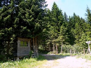 Hollingalm 130567.JPG