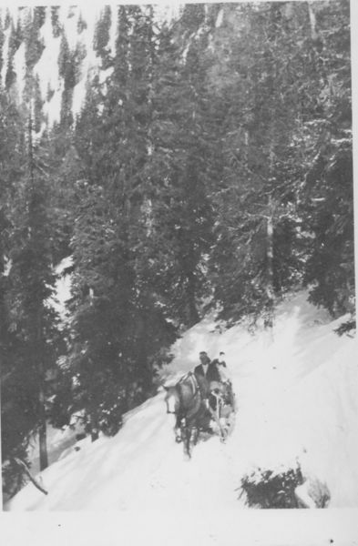 Datei:Holzbringung vom Grimming 1910.jpg