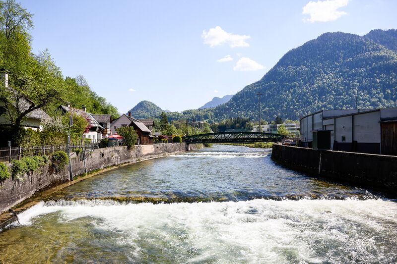 Datei:Koppentraun Unterkainisch-0266-2025-05-01.jpg