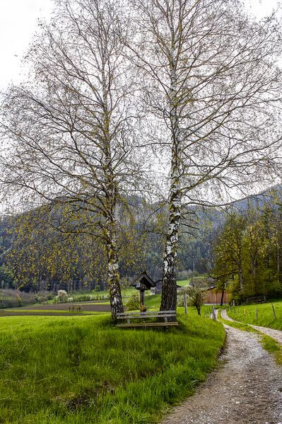 Datei:MA aiglern vlg bauer-30021-2023-05-04.jpg