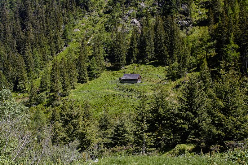 Datei:Mitterrieden oppenberg-100-2020-06-12-3.jpg