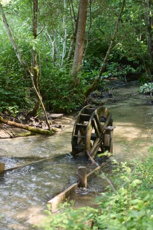 Rausch Mühle ramsau-0053-2025-06-09.jpg