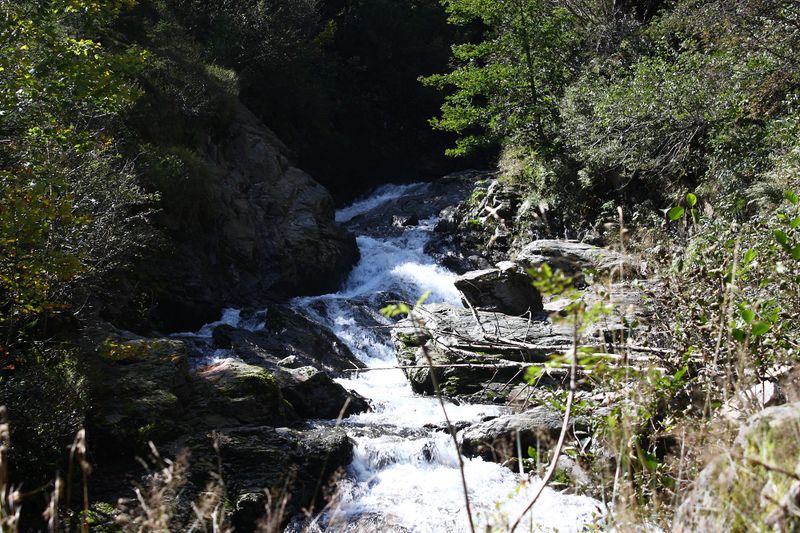 Datei:Säusenbach kleinsölk 72648 2014-09-17.jpg