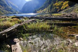 Schwarzensee 0753 2010-10-09.jpg