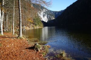Toplitzsee 77754 2014-11-03.jpg