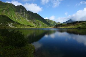 Untere riednersee 65388 2014-06-26.jpg