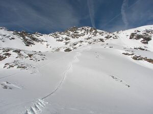 Wildkar 2476 2007-03-05.jpg