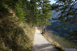 Altausseer See 78899 2014-11-15.jpg