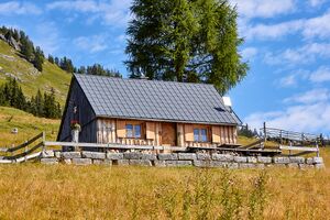 Bärenfeichtenalm-3110-2021-08-03.jpg