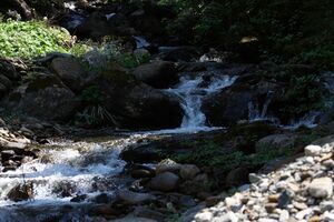 Beireutbach 90280 2015-06-08.jpg