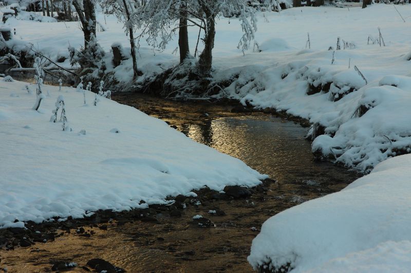 Datei:Bodenseerbach 26712 2014-01-01.jpg
