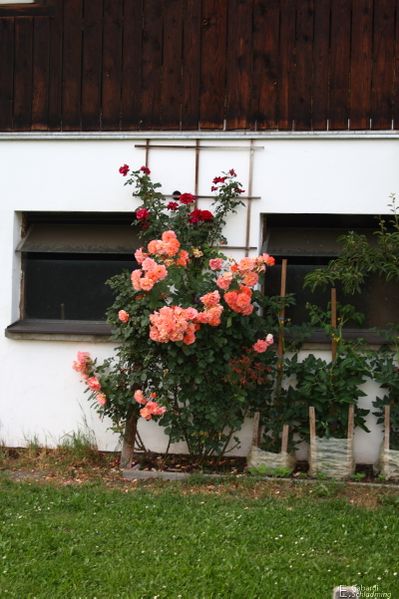 Datei:Brandstätterhof 8024.jpg