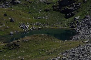 Grubersee planaiHW 1008 2011-08-11.jpg