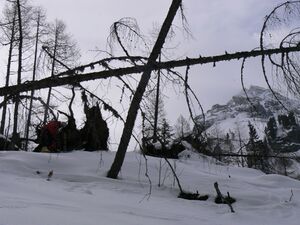 Im fockenkar 48911 2007-04-03.jpg