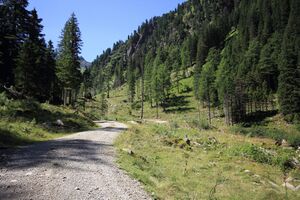 Kleinsölker Untertal 54324 2017-07-21.jpg