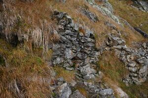 Quellfassung keinprechthütte 74020 2014-10-06.jpg