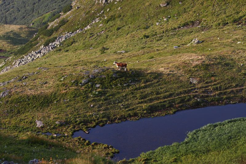 Datei:See glattjoch 59597 2013-08-06.jpg