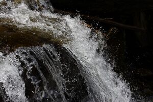 Strickerbach 55416 2014-05-02.jpg