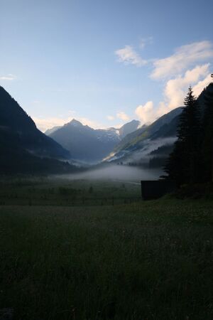 Tettermoor 0492 2008-06-09.jpg