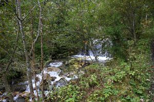 Teufelsschlucht Seewigtal 73290 2014-10-02.jpg