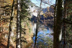 Toplitzsee 77750 2014-11-03.jpg