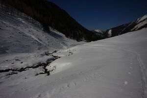 Tuchmoaralm 19906 2016-03-17.jpg