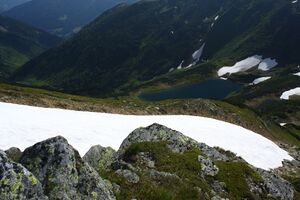 Untere riednersee 65426 2014-06-26.jpg