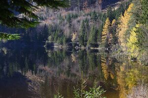 Ödensee 78045 2014-11-03.jpg