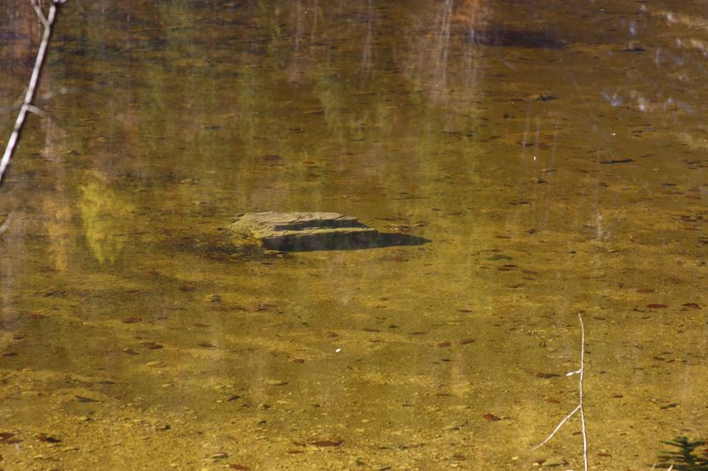 Datei:Ödensee 78056 2014-11-03.jpg