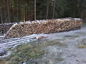 2011-11-20 14.09.53.jpg