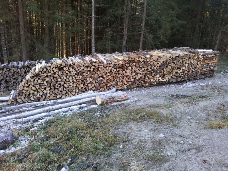 Datei:2011-11-20 14.09.53.jpg