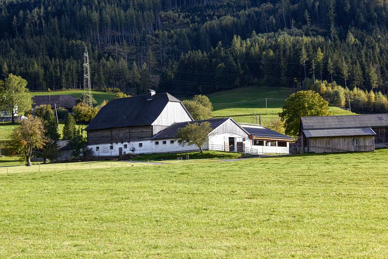 Datei:Buchmann bleiberg-0364-2021-10-15.jpg