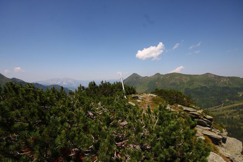 Datei:Gläserkoppe 927 13-08-05.jpg