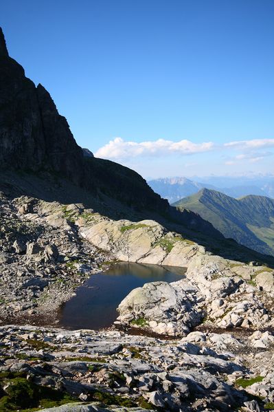 Datei:Goldlacken 0385 2008-08-12.jpg