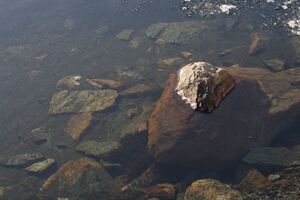 Im klaffer 3848 2008-10-13.jpg