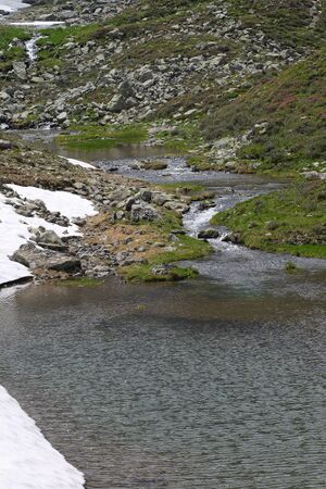 Im wildkar 23698 2008-06-26.jpg