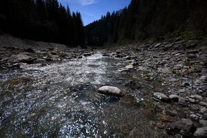 Kalte mandling018.jpg