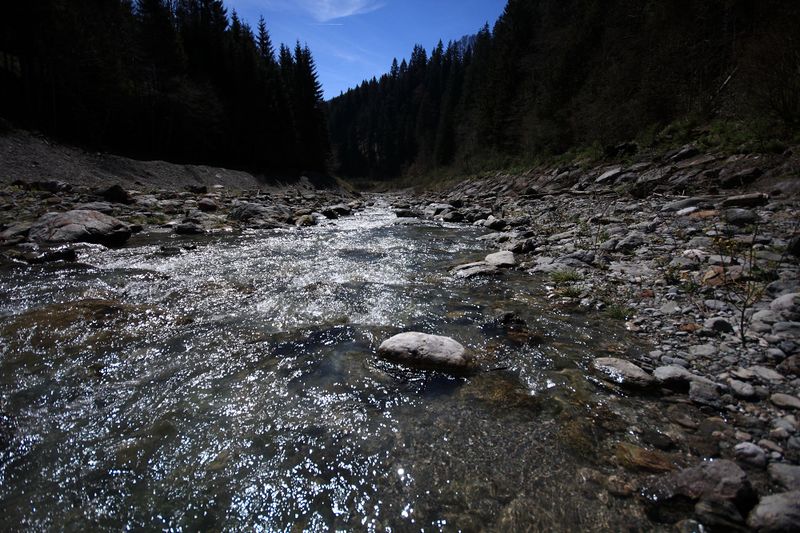 Datei:Kalte mandling018.jpg