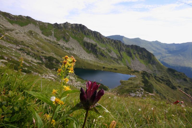 Datei:Mittlerer kaltenbachsee 27699 2010-08-11.jpg