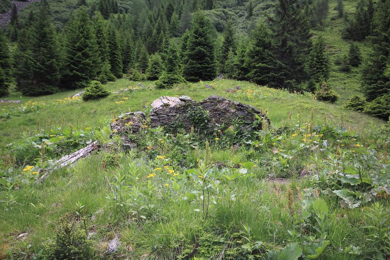 Datei:Sommeralm oppenberg 78009 2018-06-11.jpg