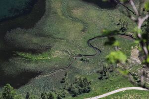 Steir.bodensee -labeck 49478 2017-06-09.jpg
