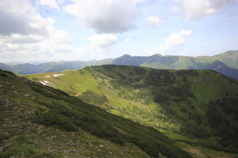 Datei:Strechmayer-hochalm 78161 2018-06-11.jpg