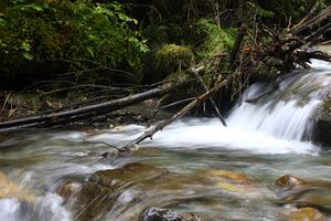 Teufelsschlucht Seewigtal 73448 2014-10-02.jpg