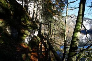 Toplitzsee 78172 2014-11-03.jpg