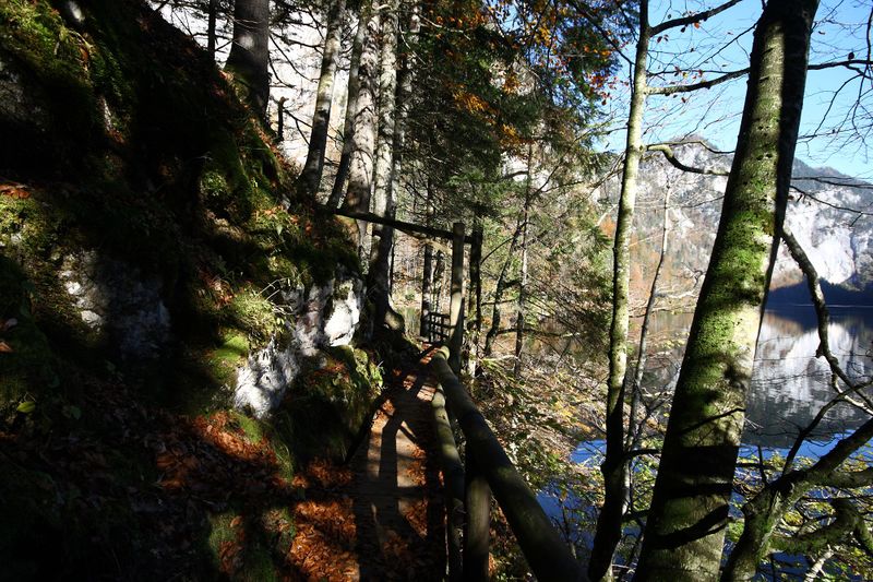 Datei:Toplitzsee 78172 2014-11-03.jpg