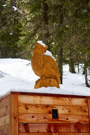 Waldwegerl planai-0064-2023-05-19.jpg
