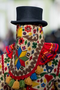 2018-02-13 Flinserl 815.jpg