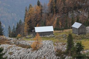 Alm,egglgrube -loser 90720 2018-11-04.jpg